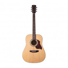 Акустическая гитара Virginia V-D22