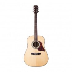 Акустическая гитара Virginia VD210S
