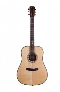 Акустическая гитара Prima DSAG218