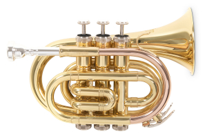 Кишенькова труба Roy Benson PT-101 Bb-Pocket trumpet