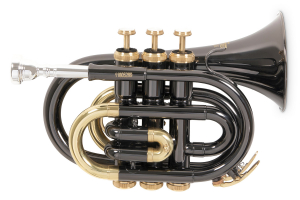 Кишенькова труба Roy Benson PT-101K Bb-Pocket trumpet