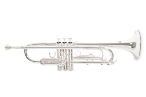 Труба Roy Benson TR-202S Bb-Trumpet