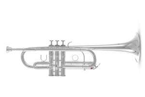 Труба Roy Benson TR-402CS