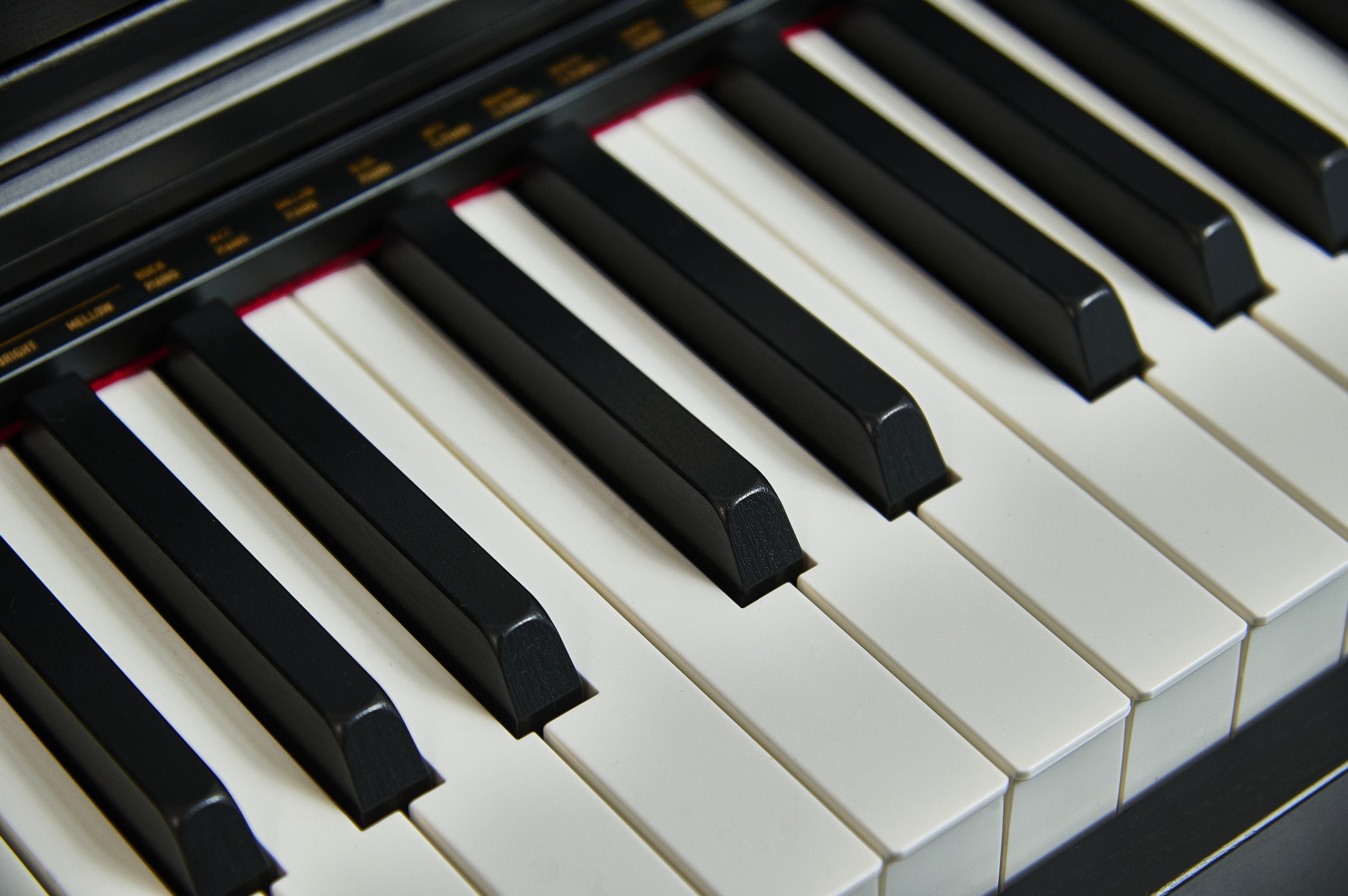 CASIO | Нове надходження