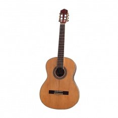 Класична гітара Virginia CC-120