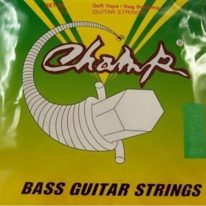 Струни для бас-гітари Champ (5 струн)