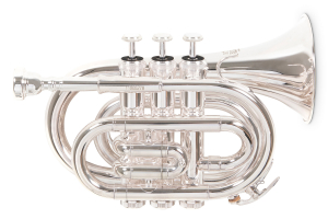 Кишенькова труба Roy Benson PT-101S Bb-Pocket trumpet