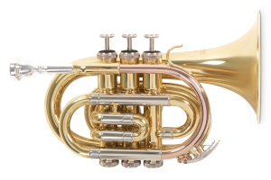 Кишенькова труба Roy Benson PT-302 Bb-Pocket trumpet