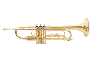 Труба Roy Benson TR-101 Bb-Trumpet