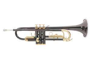 Труба Roy Benson TR-101K Bb-Trumpet