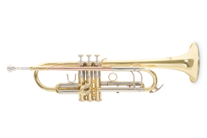 Труба Roy Benson TR-403 Bb-Trumpet