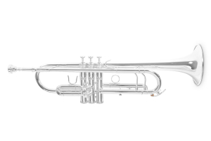 Труба Roy Benson TR-403S Bb-Trumpet