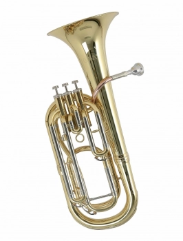 Тенор CG Conn BH650 (Bb)