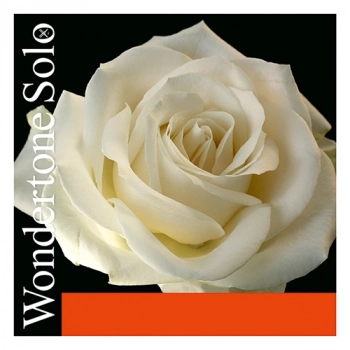 Струна для скрипки Ми Pirastro Wondertone Solo 4/4