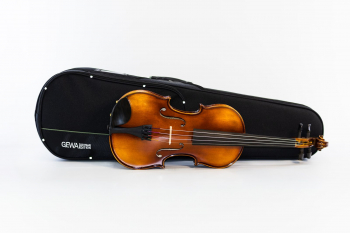 Скрипка Gewa Allegro Blackwood 4/4 (без смичка)