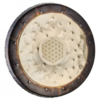 Гонг Meinl Sonic Energy Soundscape SGFOL22 Flower of Life (22")