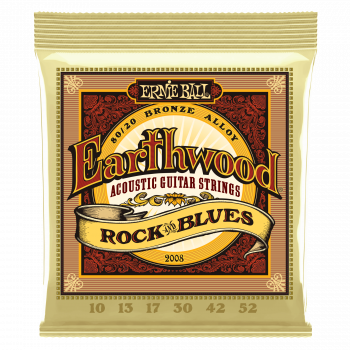 Струны для акустической гитары Ernie Ball Earthwood 80/20 Bronze P02008 Plain G, 10-52