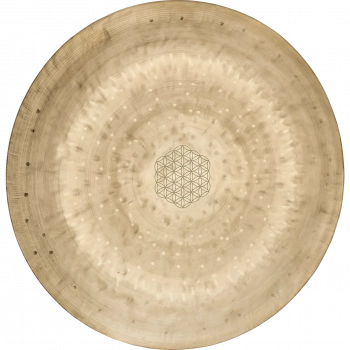 Гонг Meinl Sonic Energy Wind WGFOL12 Flower of Life (12")
