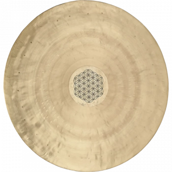 Гонг Meinl Sonic Energy Wind WGFOL24 Flower of Life (24")