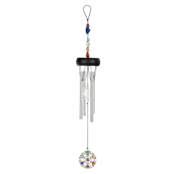 Чаймс Meinl Sonic Energy CC12MINI Chakra Silver (12" / 30 см)