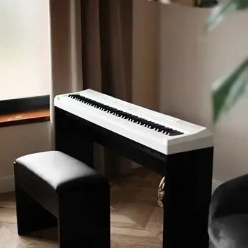 Стенд для фортепіано Ga-Music для Casio Black (без кришки)