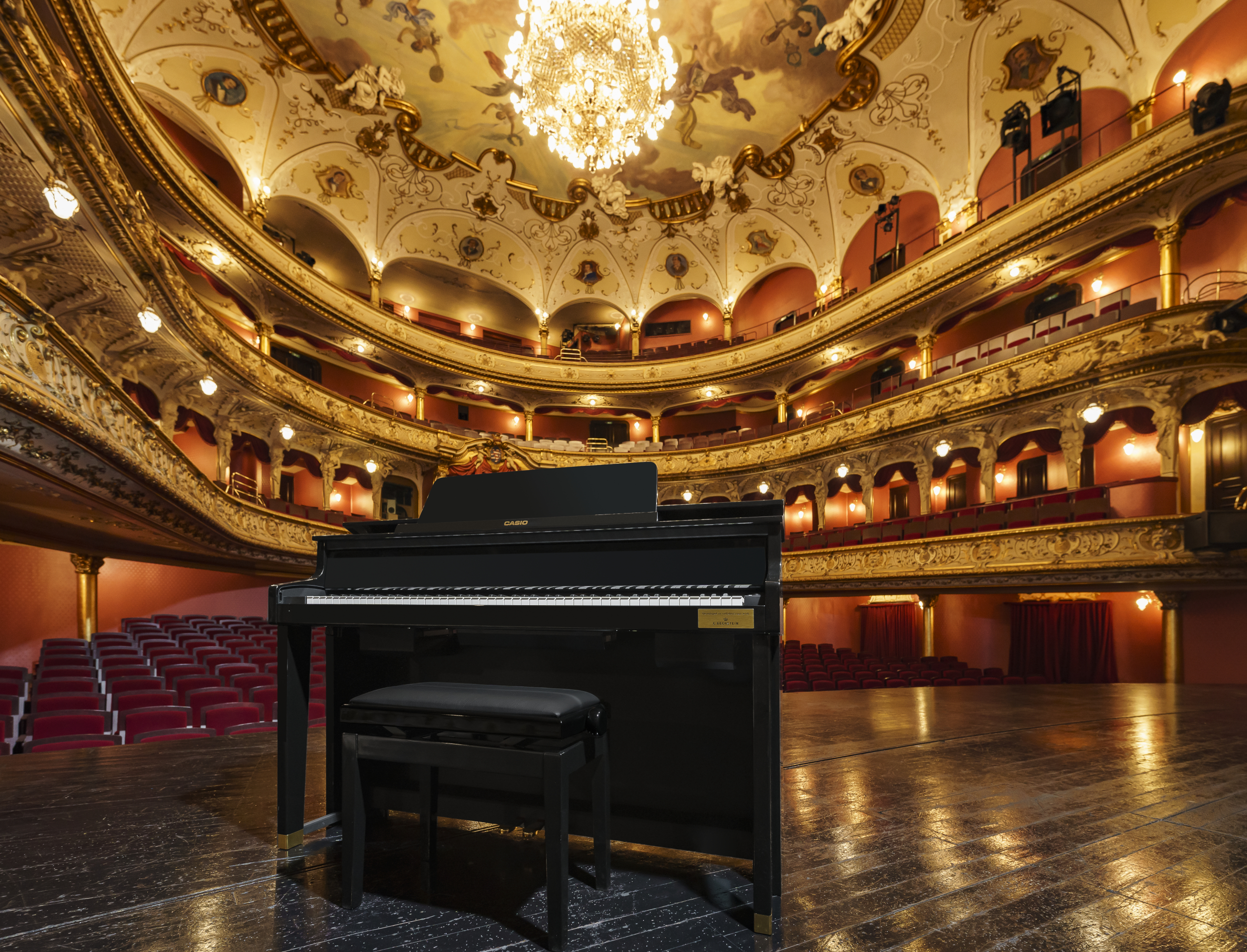 Цифрове фортепіано Casio Celviano Grand Hybrid GP-510BP