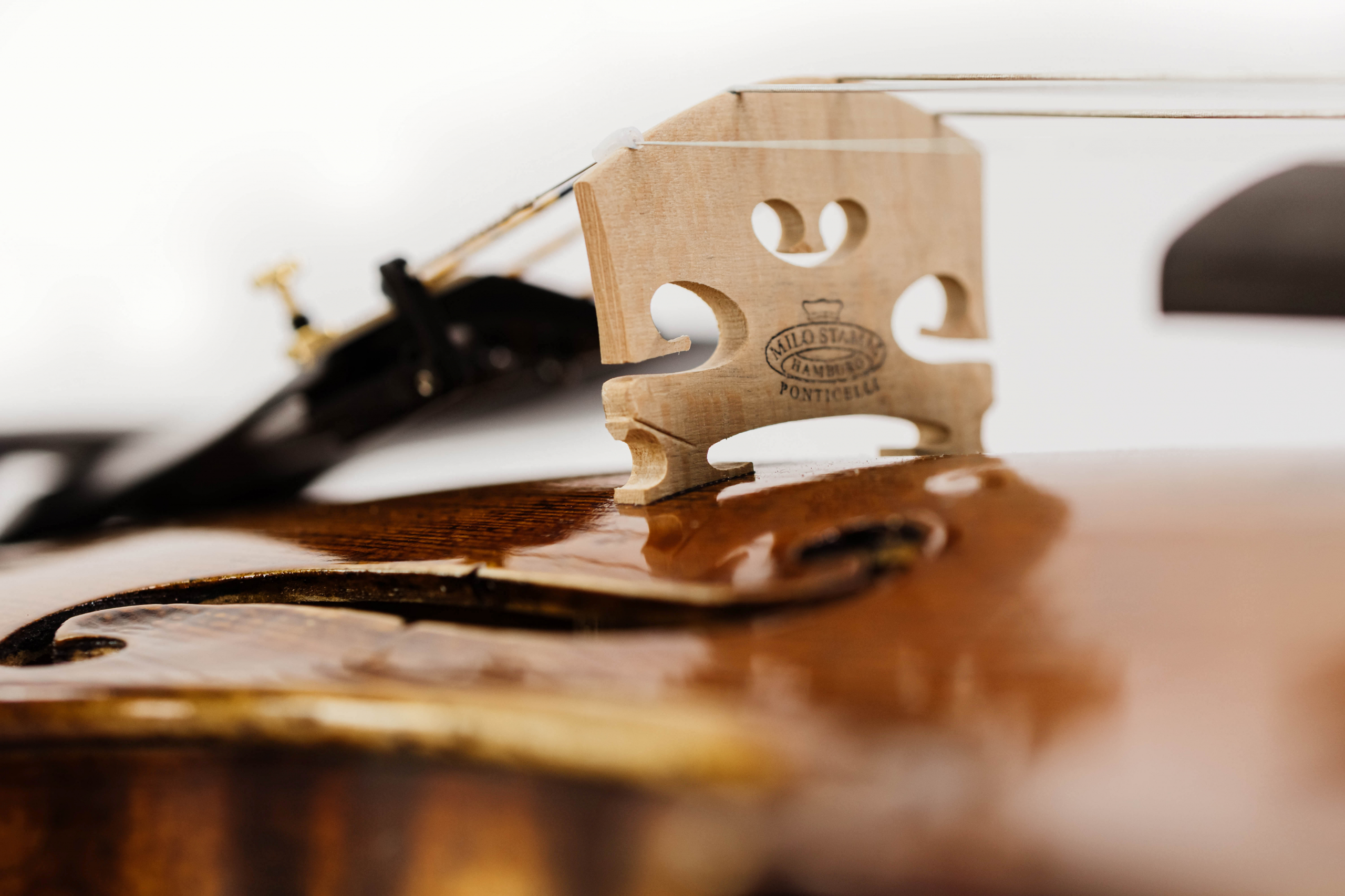 Майстрова скрипка GEWA Soloist Guarneri Model 4/4